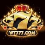 WT777 Game