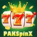 Pakspinx Game