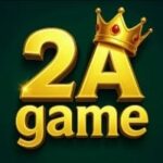 2A Game