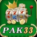 PAK33 Game