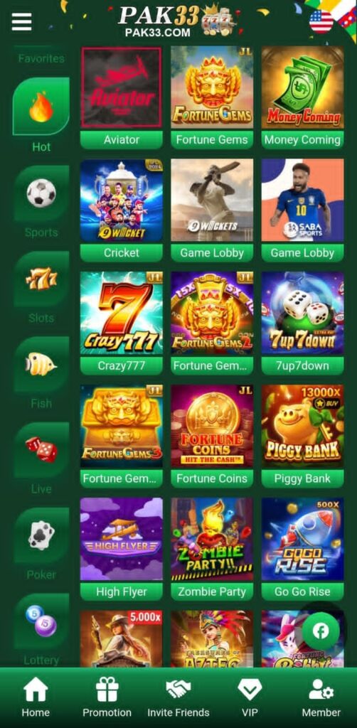 PAK33 Game