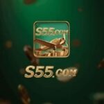 S55 Game
